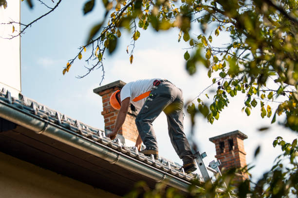 Best Roof Leak Repair  in Rochester, MI
